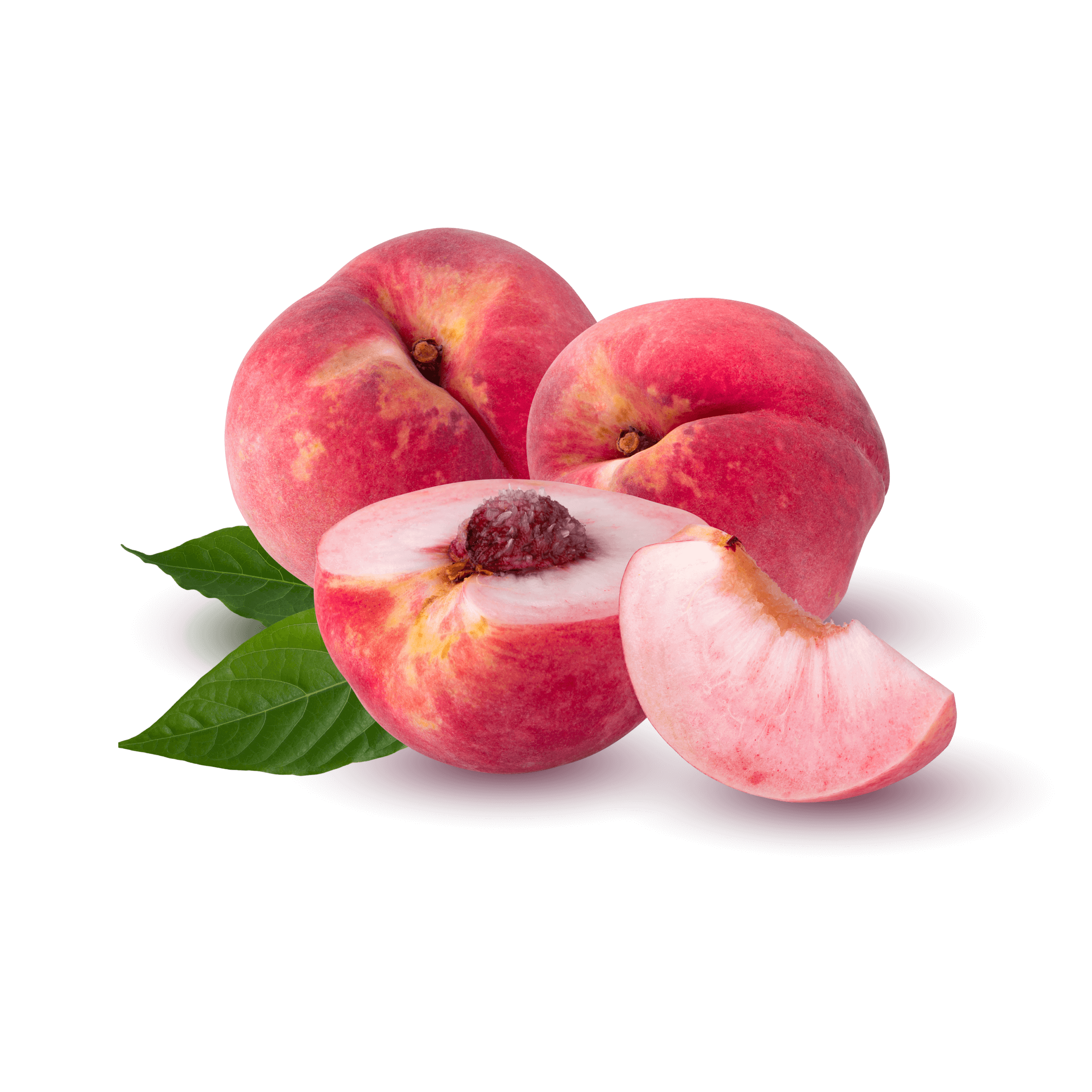 Ullam accusamus omnis