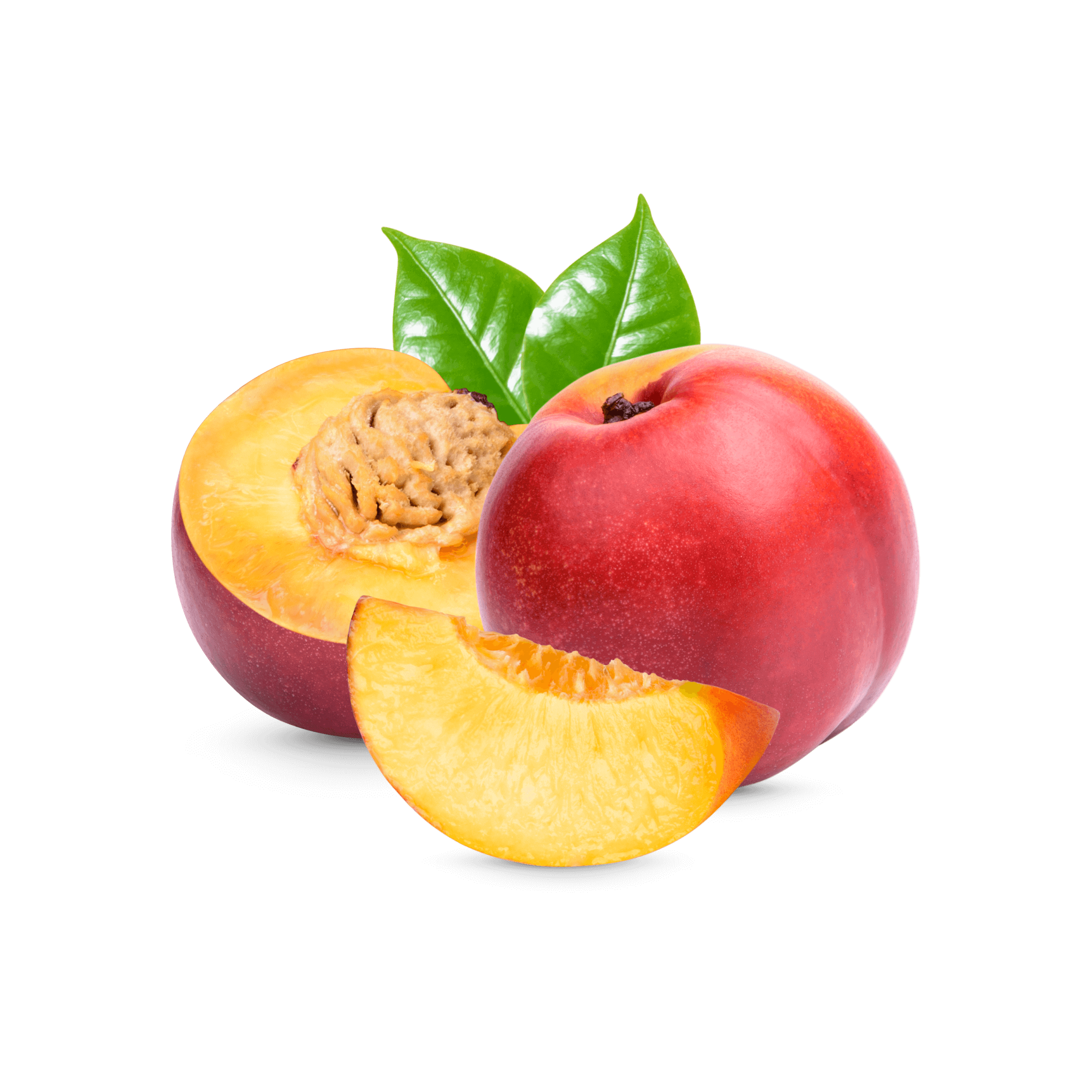 Nesciunt occaecati consectetur